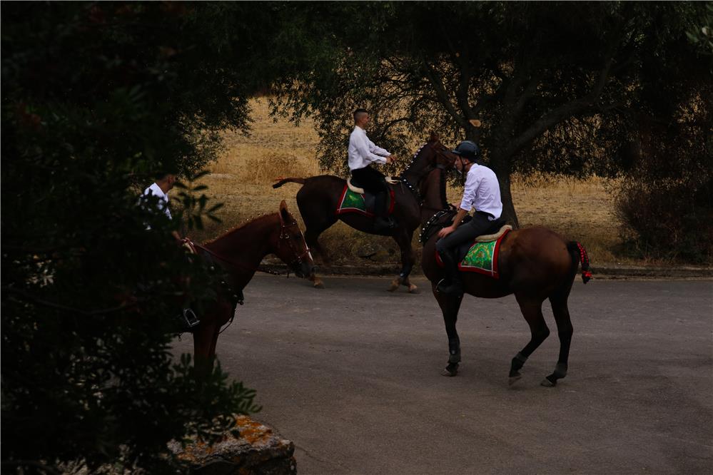 Cavalieri del Grighine